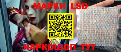 гидропоника Рязань