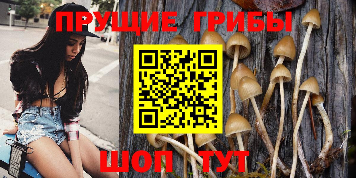 Псилоцибиновые грибы MAGIC MUSHROOMS Протвино