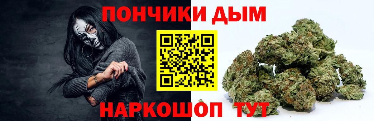 Каннабис индика Протвино